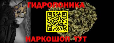 бошки Кинель