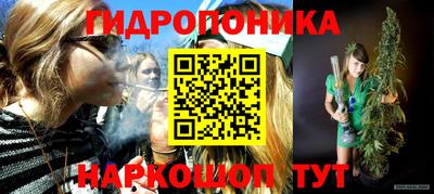 spice Кимры