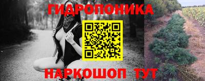 spice Кимры